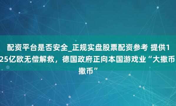 配资平台是否安全_正规实盘股票配资参考 提供1.25亿欧无偿解救，德国政府正向本国游戏业“大撒币”