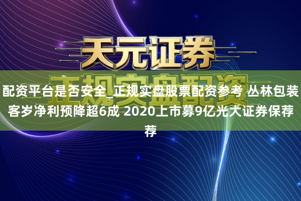 配资平台是否安全_正规实盘股票配资参考 丛林包装客岁净利预降超6成 2020上市募9亿光大证券保荐