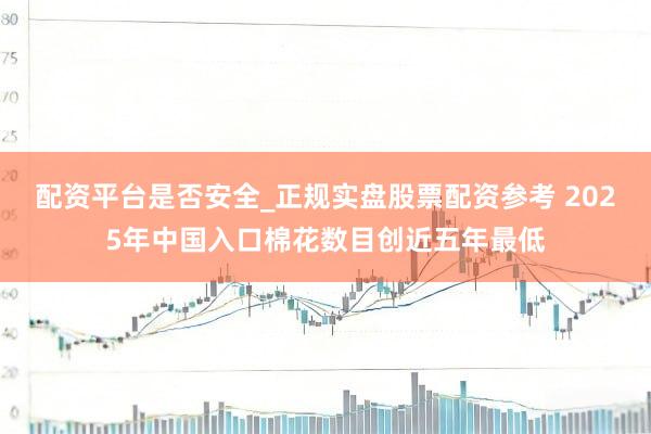 配资平台是否安全_正规实盘股票配资参考 2025年中国入口棉花数目创近五年最低